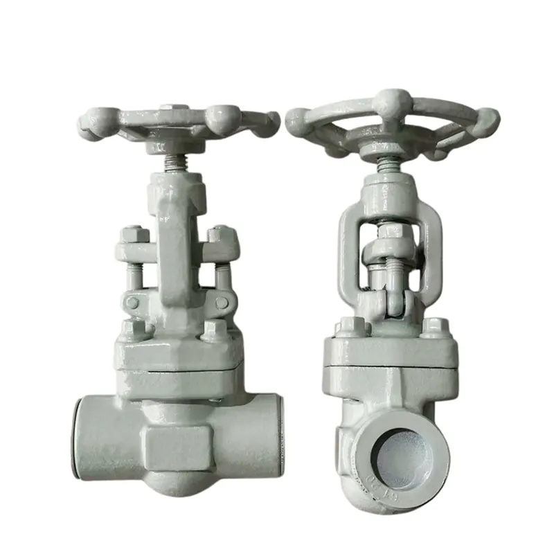 Gate Valve na Partikular sa Industriya ng Kemikal