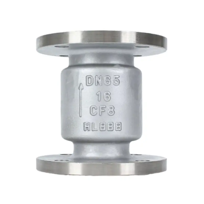 Hindi kinakalawang na asero 316 Vertical Check Valves
