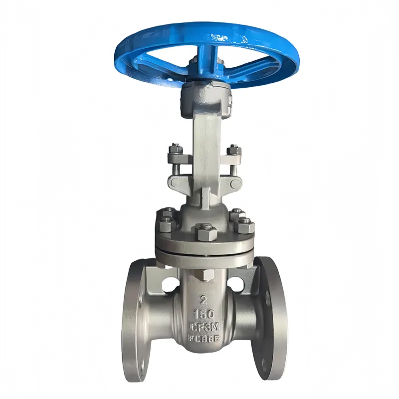 Hindi kinakalawang na asero 316L Flanged Gate Valve